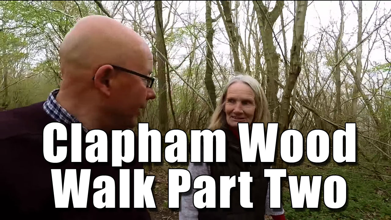 Clapham Wood Exploration Part Two