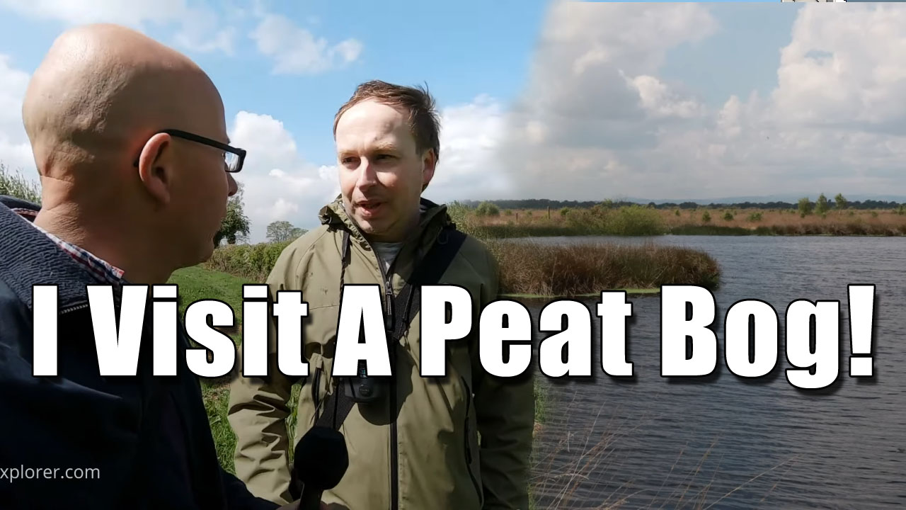 A Visit to Fenn's Whixall and Bettisfiled Mosses National Nature Reserve