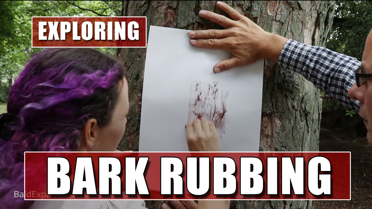 The World of Bark Rubbing