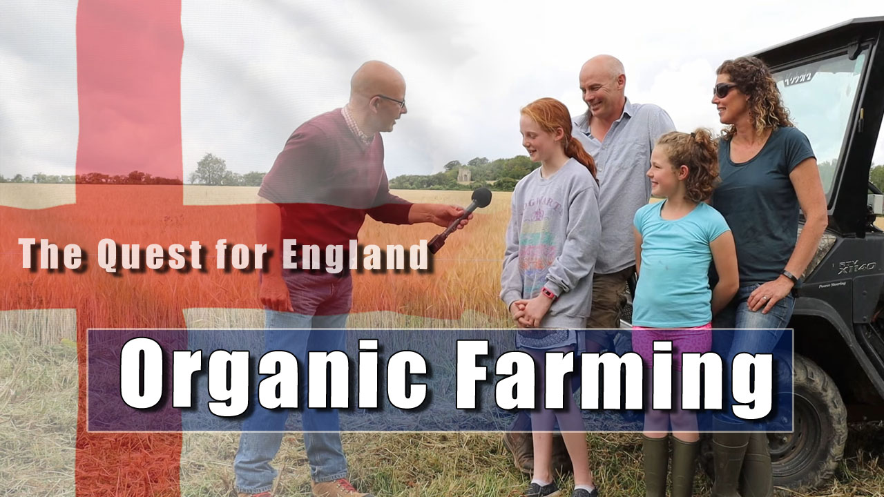 The Quest For England - In Which I Visit An Organic Mixed Farm