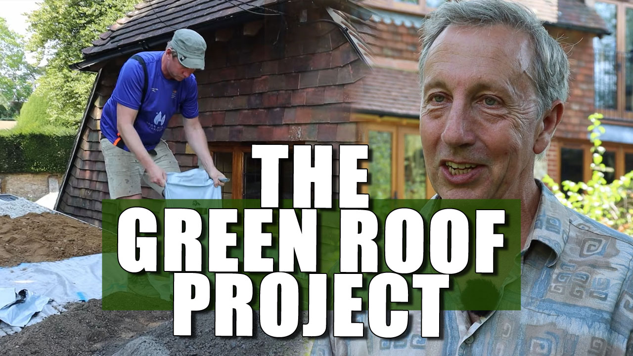 The Green Roof Project - What's the Point of a Green Roof?