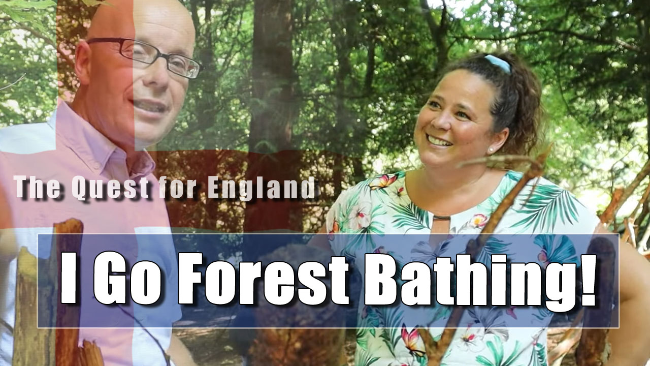 The Quest For England - I Go Forest Bathing with Sonya Dibbin