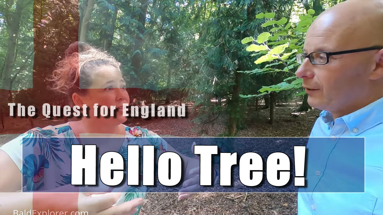 The Quest For England - In Which I Introduce Myself to a Tree