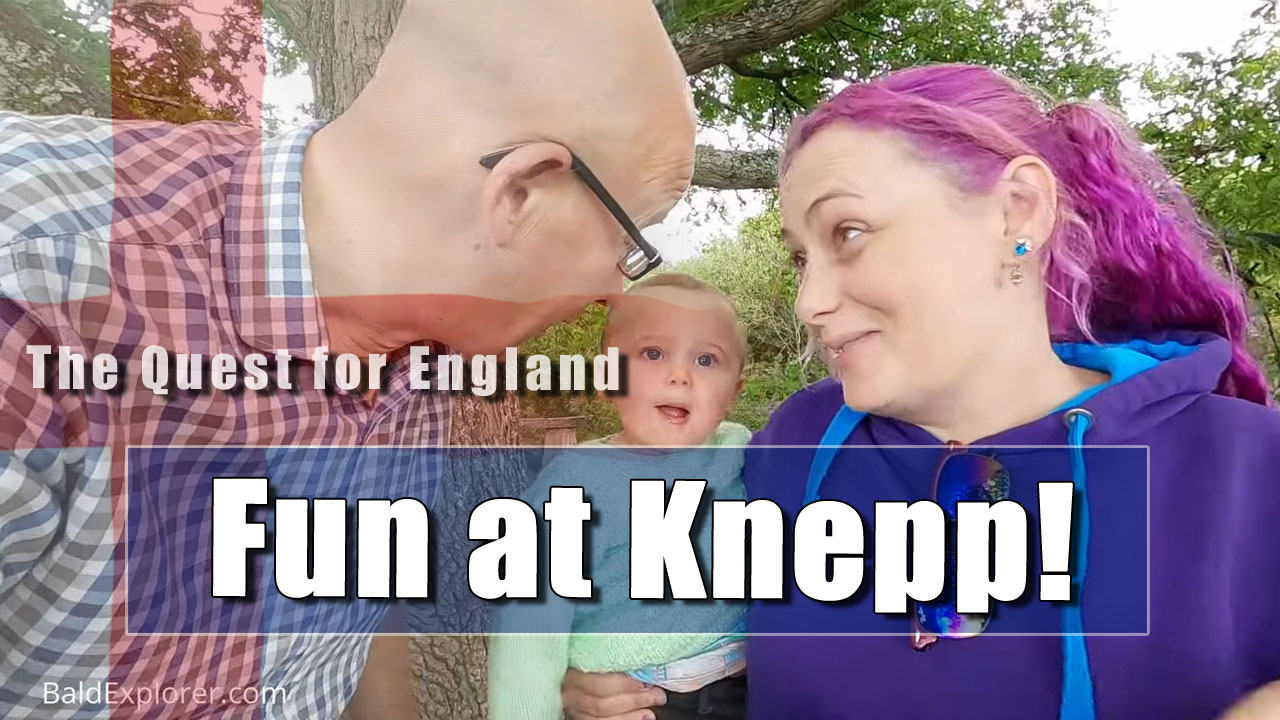The Quest For England - In Which Julia and I Have a Stroll Around the Knepp Estate