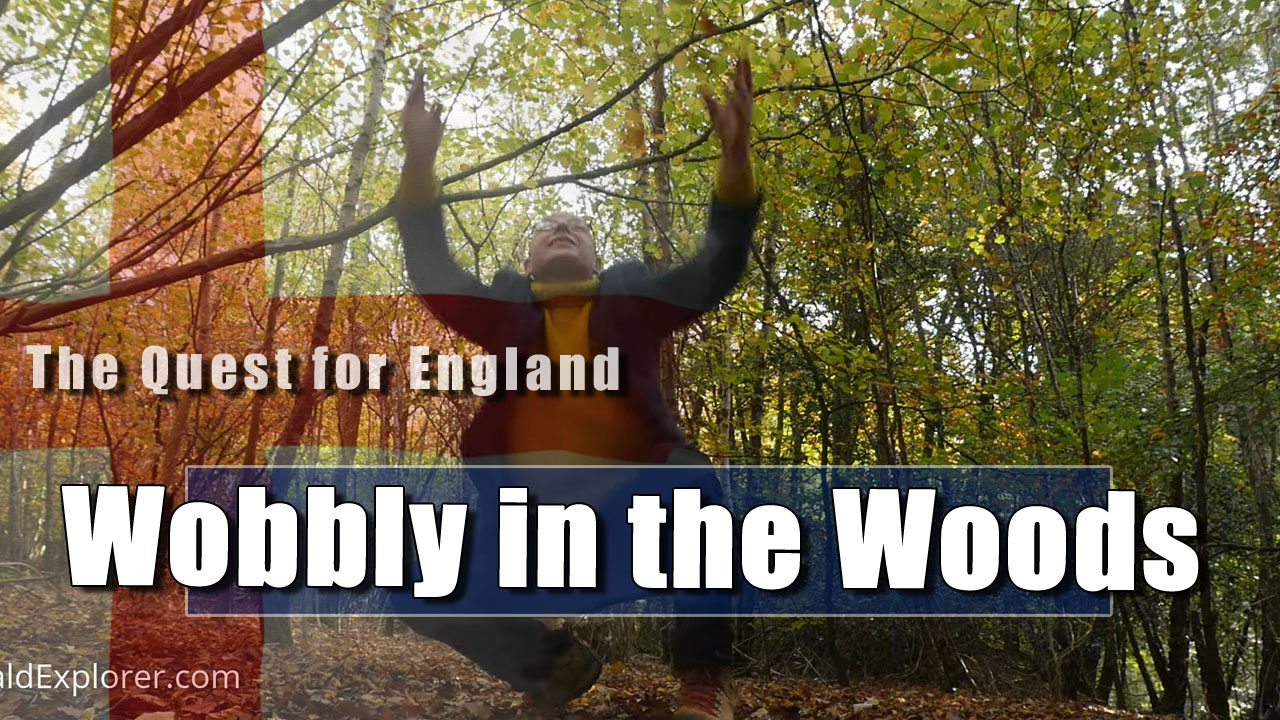 The Quest For England - In Which I Explore the Autumn Leaves in Houghton Forest