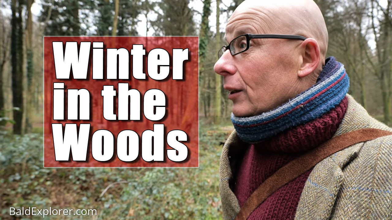 A Winter Walk Around the Patching Woods