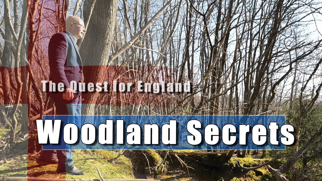 The Quest For England - Can You Identify Species in the Woods?