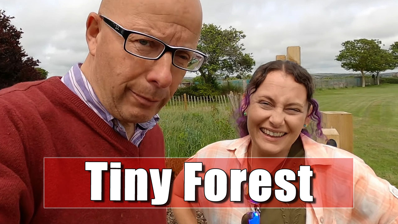 Daily Vlog - Exploring the Tiny Forest, with Julia.