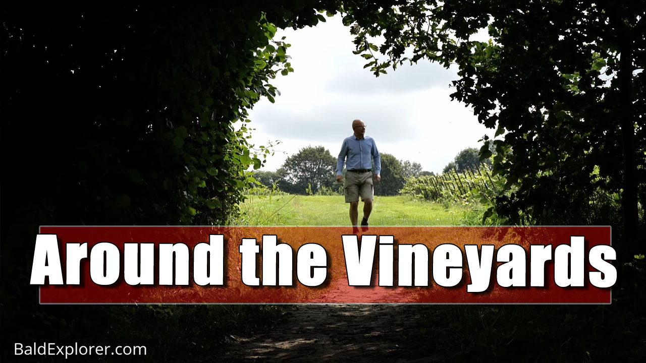 Sussex Footpaths: Around the Nyetimber Vineyard in West Sussex
